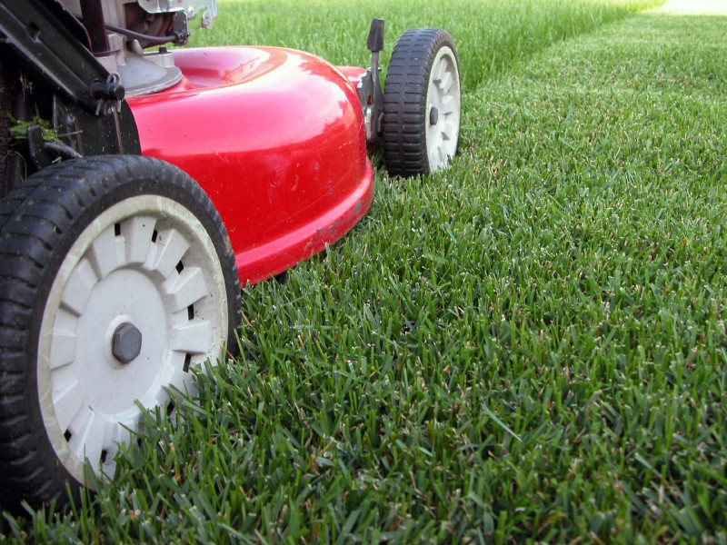 Remove These 5 Mowing Mistakes and Get That House Sold