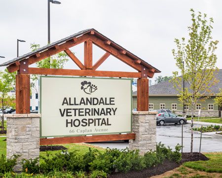 Allendale Veterinary Hospital Reviews